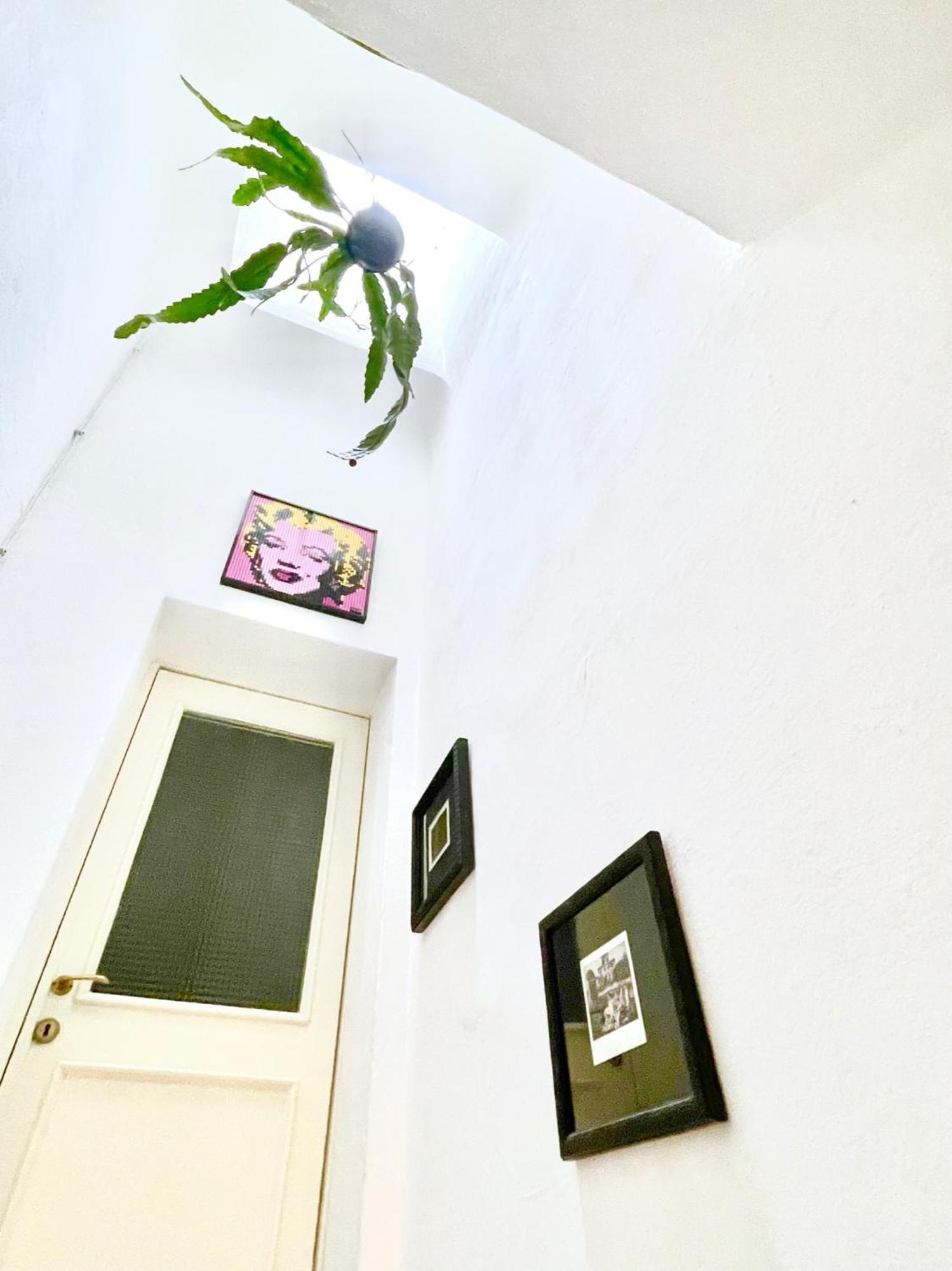 La Casa Del Pesce - Within The Historical Walls Of Lucca Luaran gambar